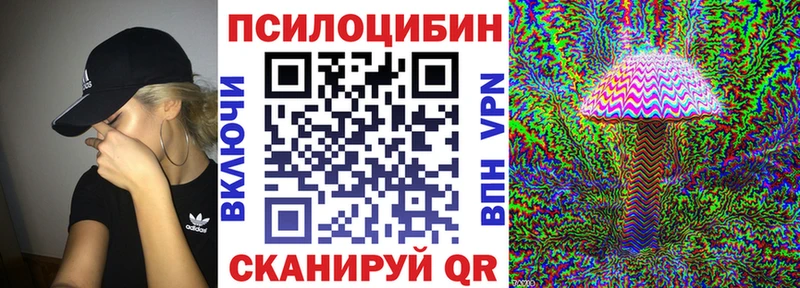 Галлюциногенные грибы MAGIC MUSHROOMS  Купить где  Ленинск 